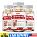 3 Packs Berberine 1200MG High Absorption For Blood Sugar Immune Months Supply New. Price: $23.99.