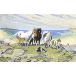 Ponies By The Sea - M Dawson Print Unspecified. Price: $39.63.