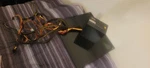 Segotep 600W Gold SG-700G Power Supply Used. Price: $43.00.